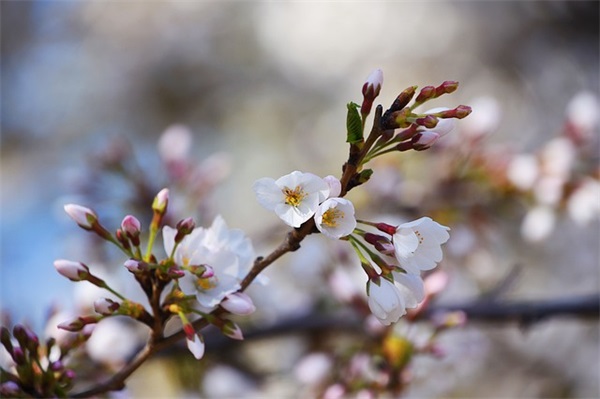 爱人的网名的昵称大全(精选113个)