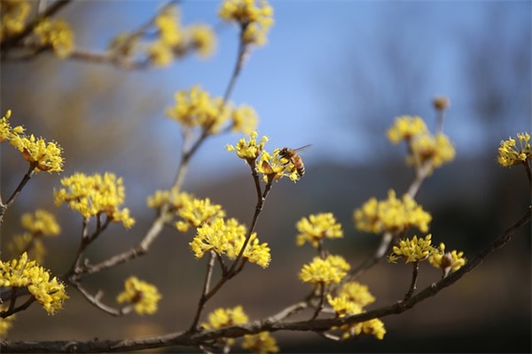 关于经常喝酒的微信群名字 最流行的酒友群名