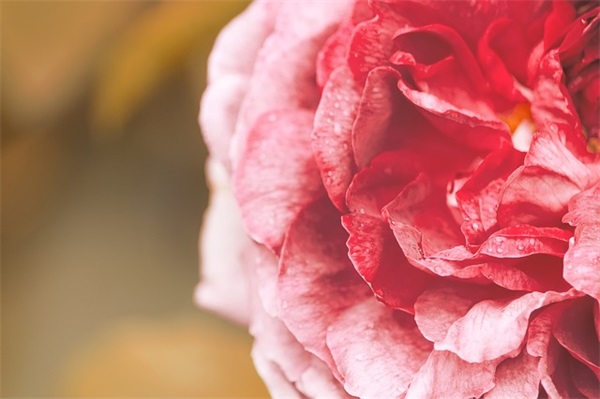 好的寓意女孩名字