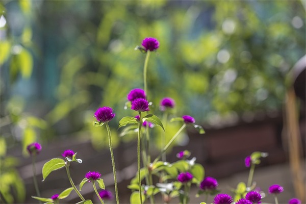 男孩名字温暖好听