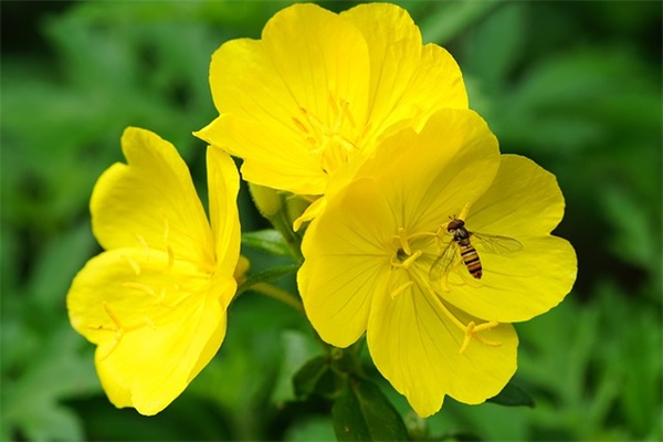 唯美文艺个性网名女生