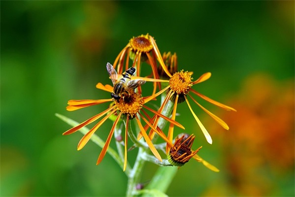 两个字的网名女生古风