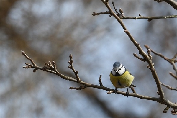 积极向上的qq网名女生