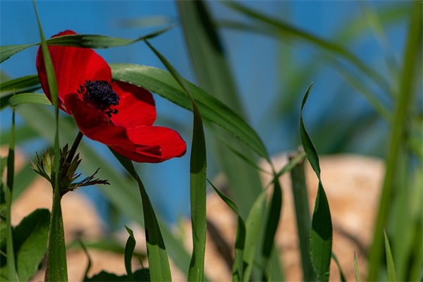 qq女生孤独最新网名