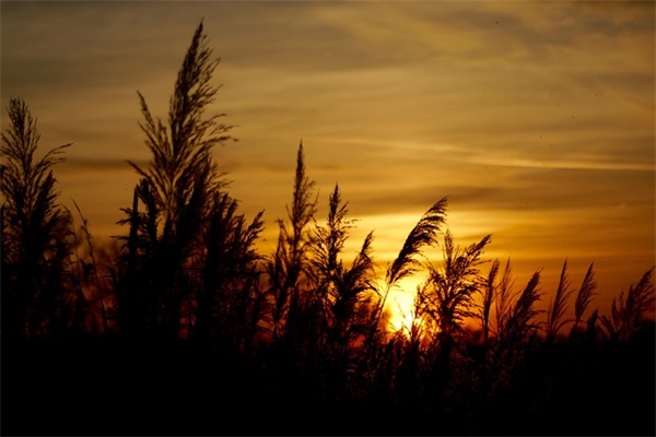 小女生可爱QQ网名