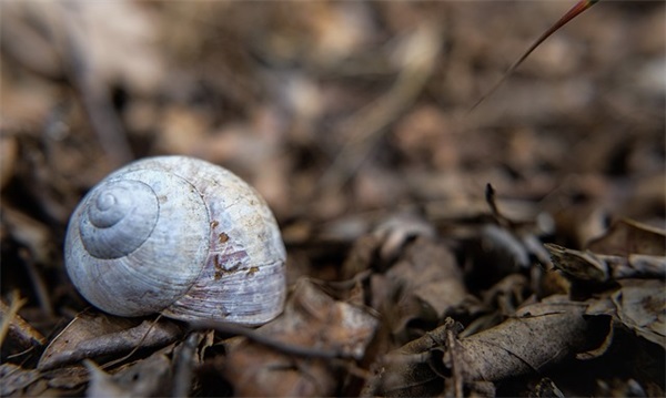 带威字的个性女网名