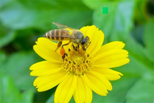 简单女生网名一个字