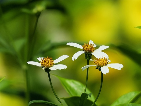 单身女生的个性网名