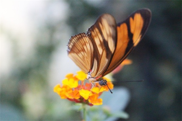 中学生qq网名女霸乞