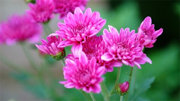 简单两个字的网名女生