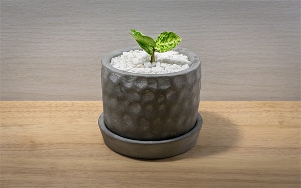 网名腹肌头像女生可爱