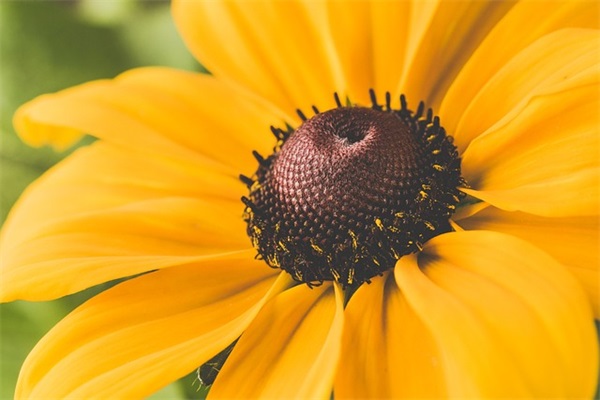 女生个性游戏网名