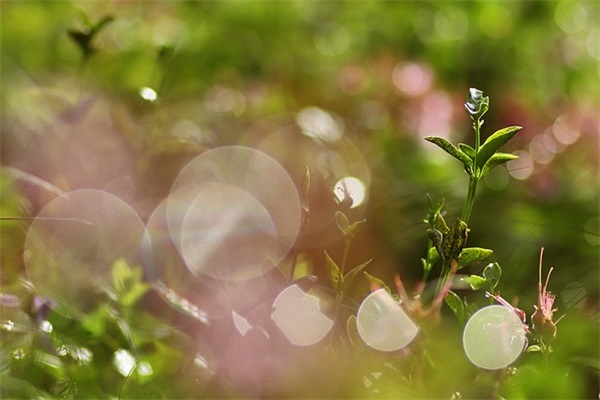 小学女生QQ网名大全