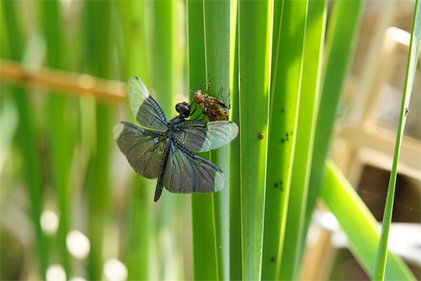 qq繁体女生网名