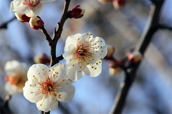 女生可爱的外国网名