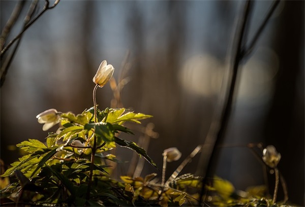霸气可爱网名女生网名