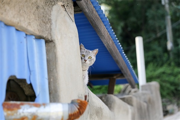 2025个性网名最新版女