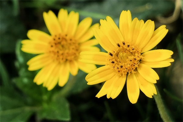 女生带晶的个性网名