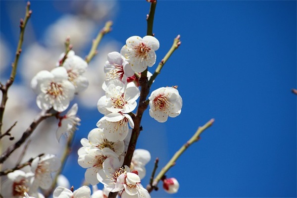 古剑逍遥好听的情侣名字2025