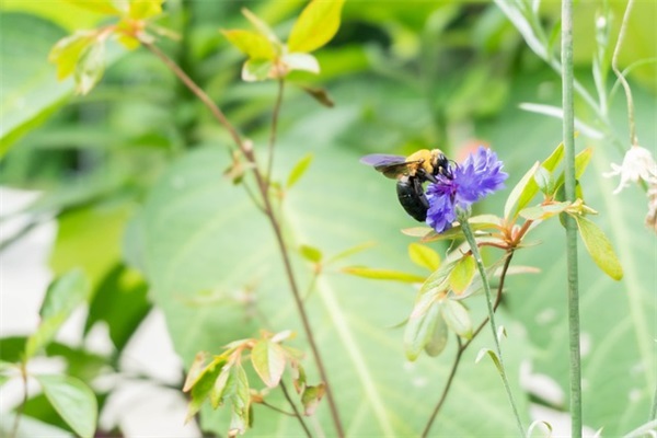 202504热门心动棋牌名字字(精选55个)