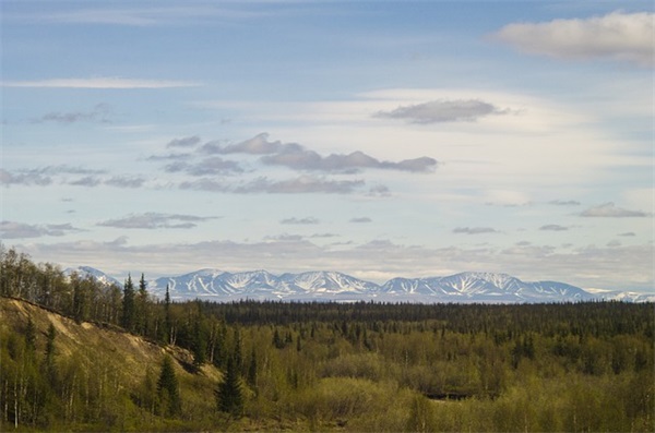 比较小清新的女生游戏名字2025