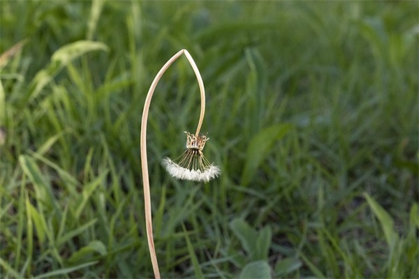 202504最新神武4手游名字古风伤感(精选59个)