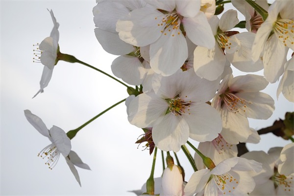 2025发财的热门光遇5个字的昵称