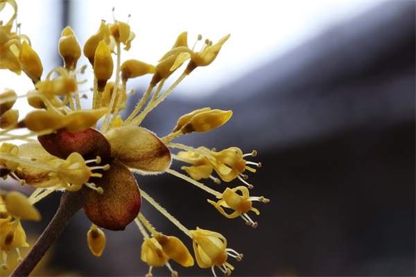 我的世界手游好听的id四个字精选68个2025游戏名字