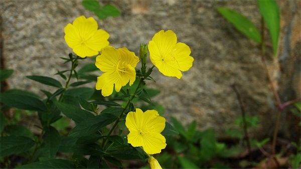 2025年霸气微信网名好听又帅气颜值超能到打