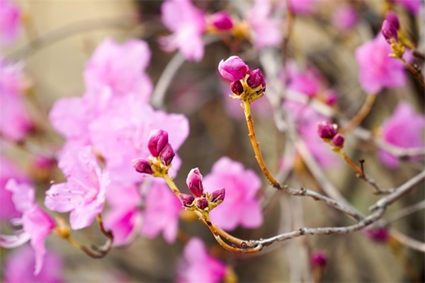 2025简单好听的歌名做游戏名字