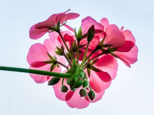 非主流游戏名字植物大战僵尸2霸气带符号2025