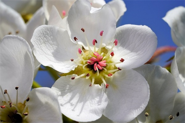 2025可爱开心的游戏名字大全