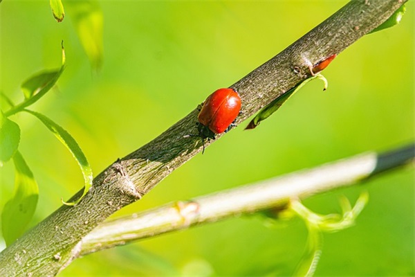 2025超繁体字符号游戏名字