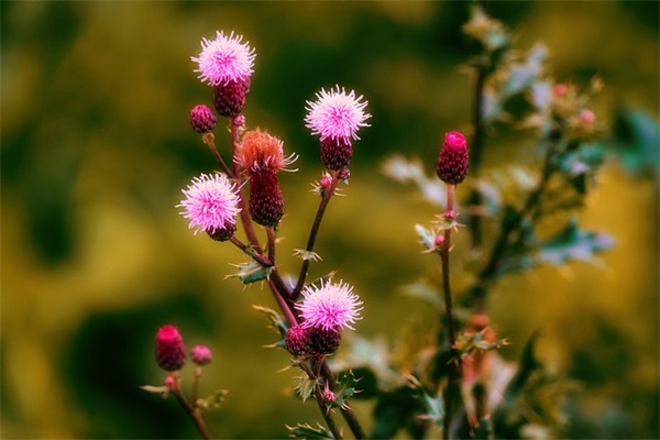 2025微信游戏名字男两个字精选