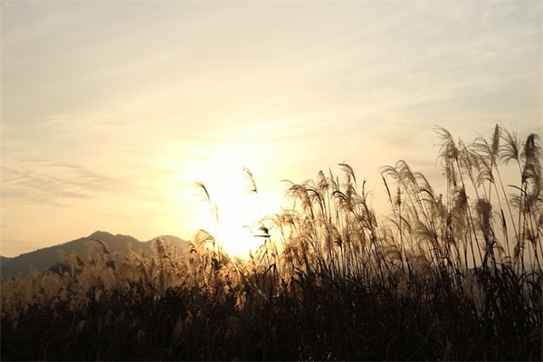 2025最赚钱的最新王者荣耀男孩英文名字