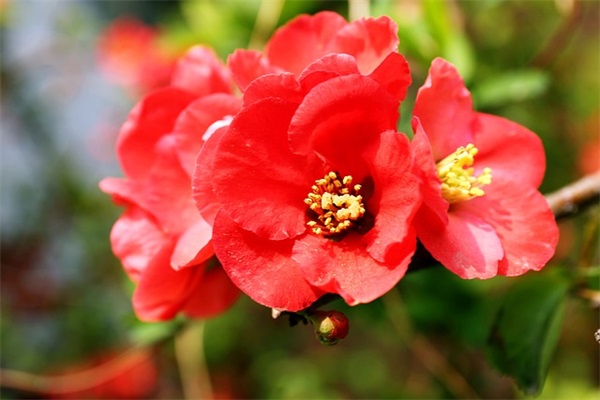 战争与文明四个字游戏名字2025