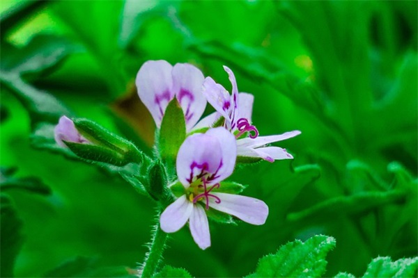 2025年够叼够霸气的微信游戏名字