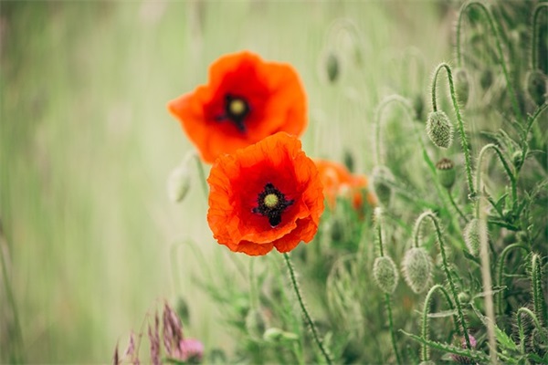 2025年最新从细胞到奇点个性游戏名字