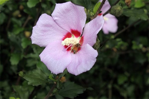 个性密室逃脱10侦探风云主播昵称大全两字与众不同2025年游戏名字