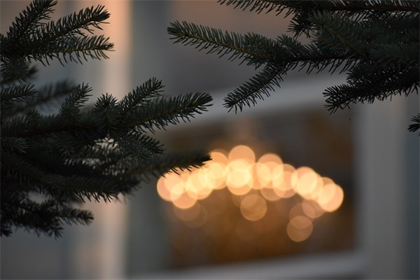 比较酷的名字三个字的枪战英雄游戏名字2025游戏名字