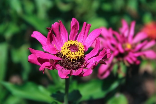 2025最新造梦西游情侣英文名字大全