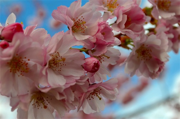 2025最吉利的最新冒险岛球球大作战名字大全霸气大全