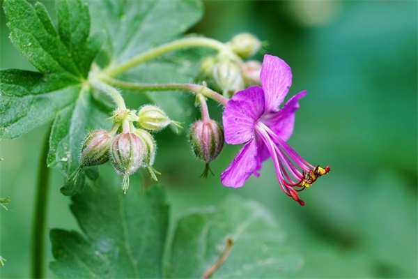 2025年热门战舰世界闪击战好听的id女生汇总