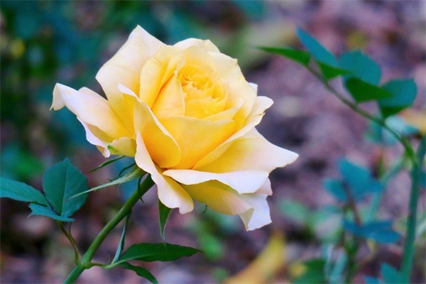 2025英雄对决时尚的游戏名字