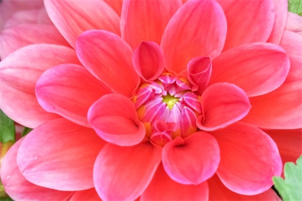 2025最有女人味的成熟气质女游戏名字