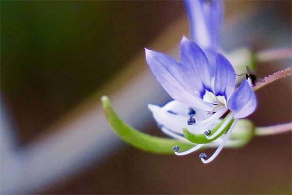 我的世界手游游戏人物名字2025