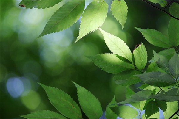 2025传说对决伤感名字