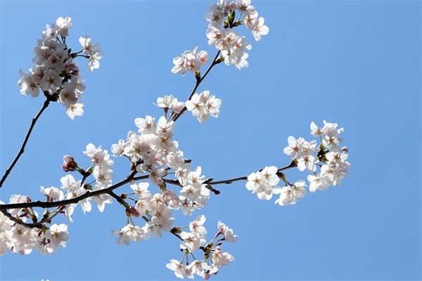 2025年最新重返帝国6字温柔id