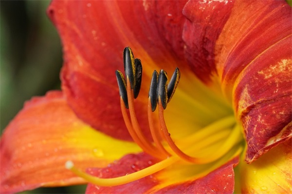 奥奇传说经典女孩名字2025年游戏名字