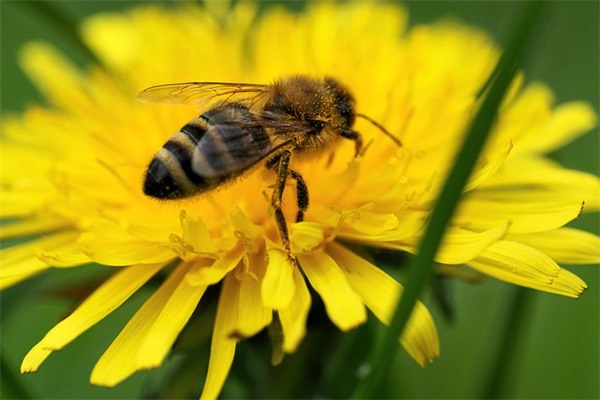 2025年4月吉利的最新奥奇传说好听的游戏id(精选66个)